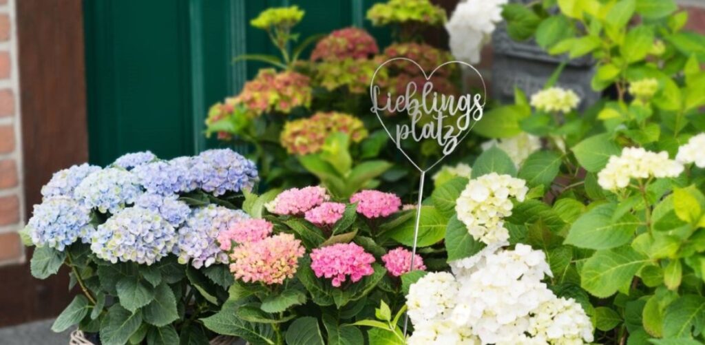 Gartenbedarf für einen Lebensstil, der bewusster und natürlicher wird Gartenbedarf